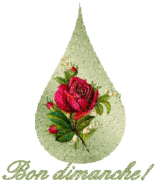 Gif animé Bon dimanche rose
